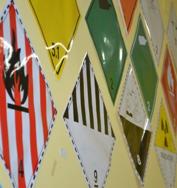 autoescuela logo adorno